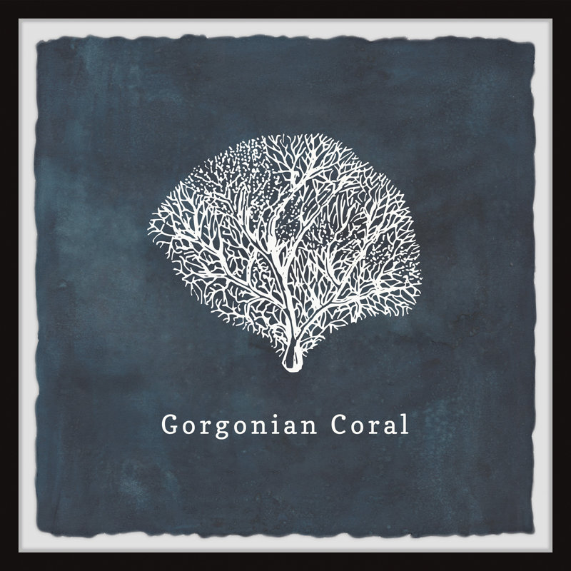 Syston Gorgonian Coral A 1 Piece Single Picture Frame Wall Art