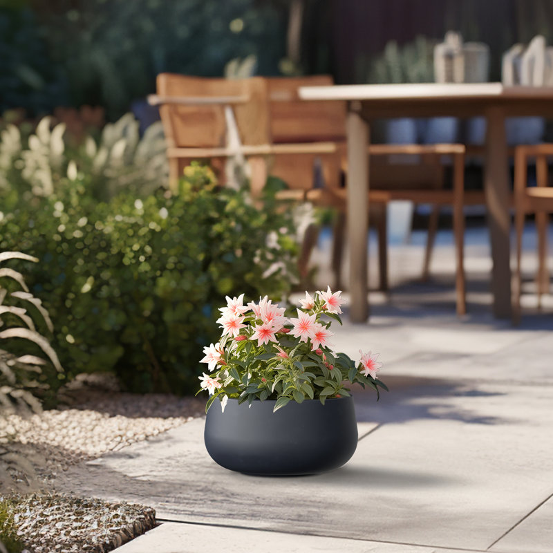 Pot à fleurs en béton Renfrew, H 5,91 po x l 11,81 po x P 11,81 po, Gris granite