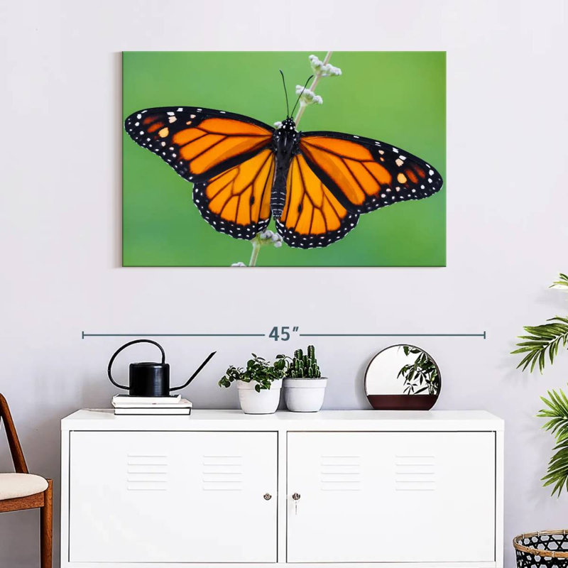 Brampt Pretty Monarch Butterfly, 24" H x 36" W