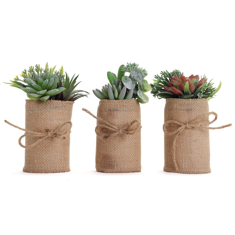 Plante grasse artificielle 7 po en pot