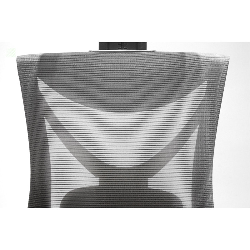 Hokku Designs Radoy Task Chair