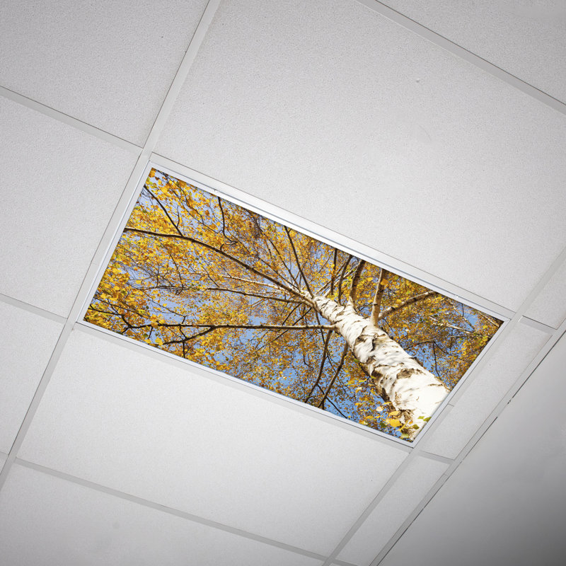 Octo Lights - Fluorescent Light Covers - Flexible Decorative Light Diffuser Panels - Tree - For Classrooms And Offices - Tree 003