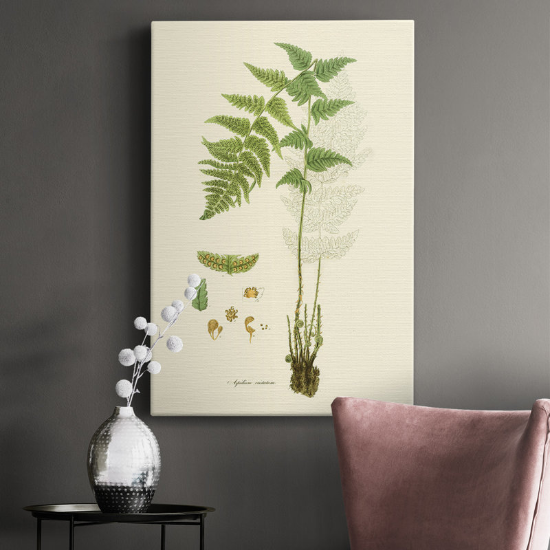 Curtis Ferns I - peinture sur toile tendue, H 36 po x l 24 po x P 1 po