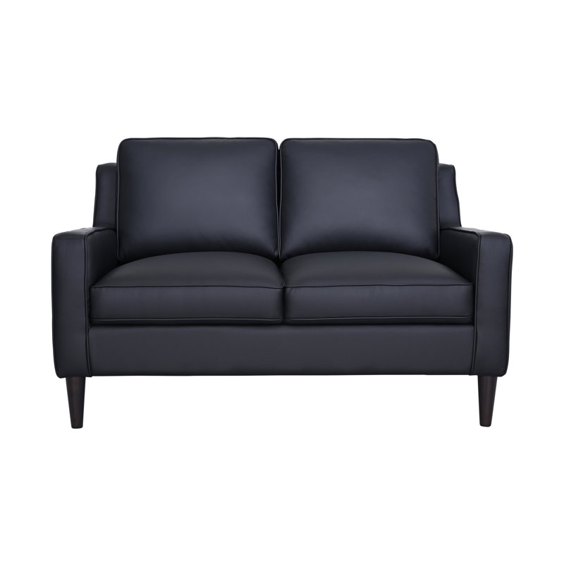 Balaal 56'' Leather Loveseat