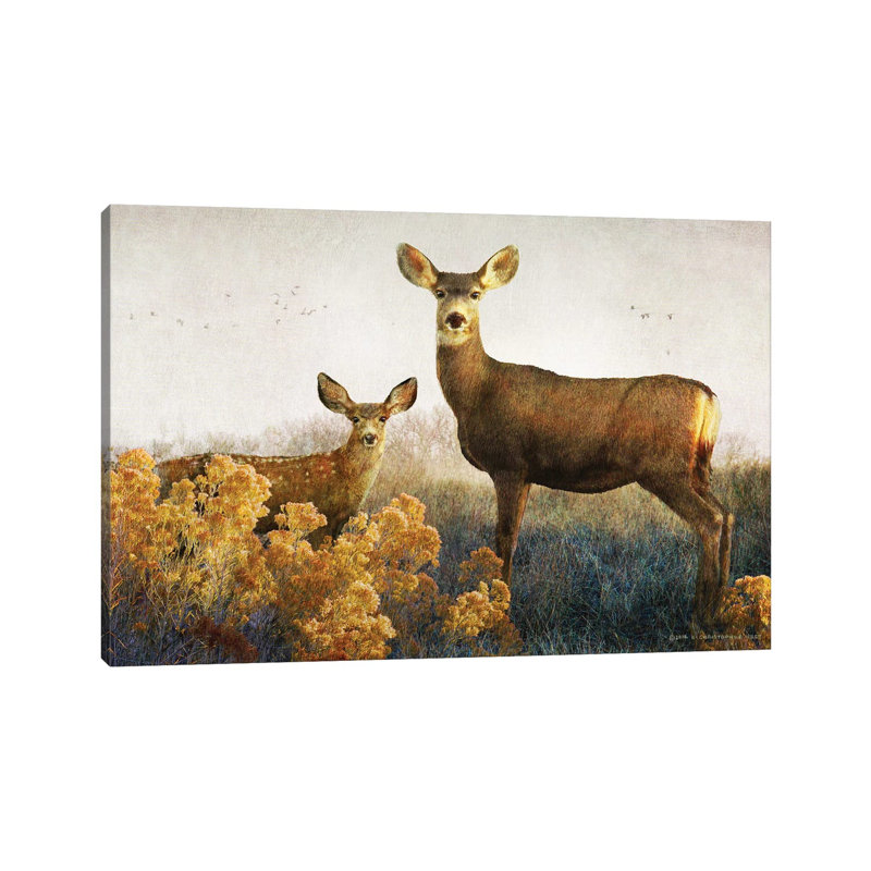 Biche et fauve, reproduction d'art, H 8 po x l 12 po x P 0,75 po