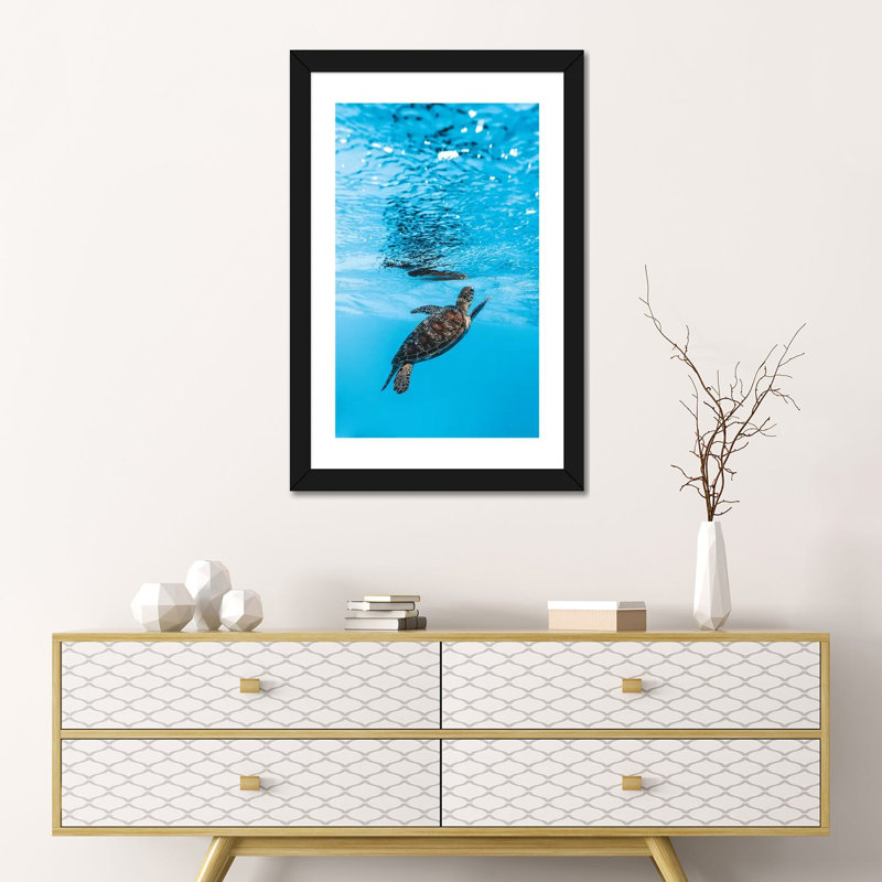 «Under Water Little Turtle» par James Vodicka - reproduction imprimée, H 24 po x l 16 po x P 1 po, Papier encadré noir, Blanc