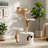 Cat Tree