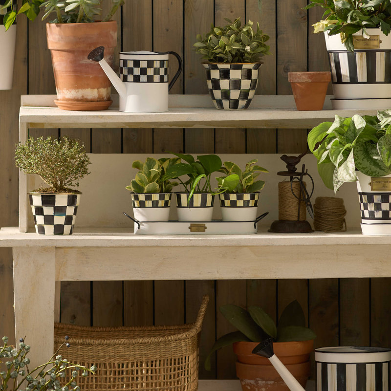Spectator Black and White Galvanized Herb Pots with Tray, Set of 3