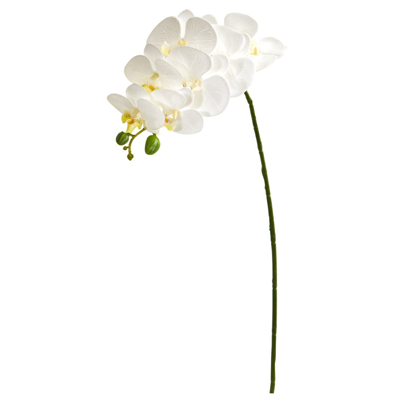 Phalaenopsis Orchid Artificial Flower, White