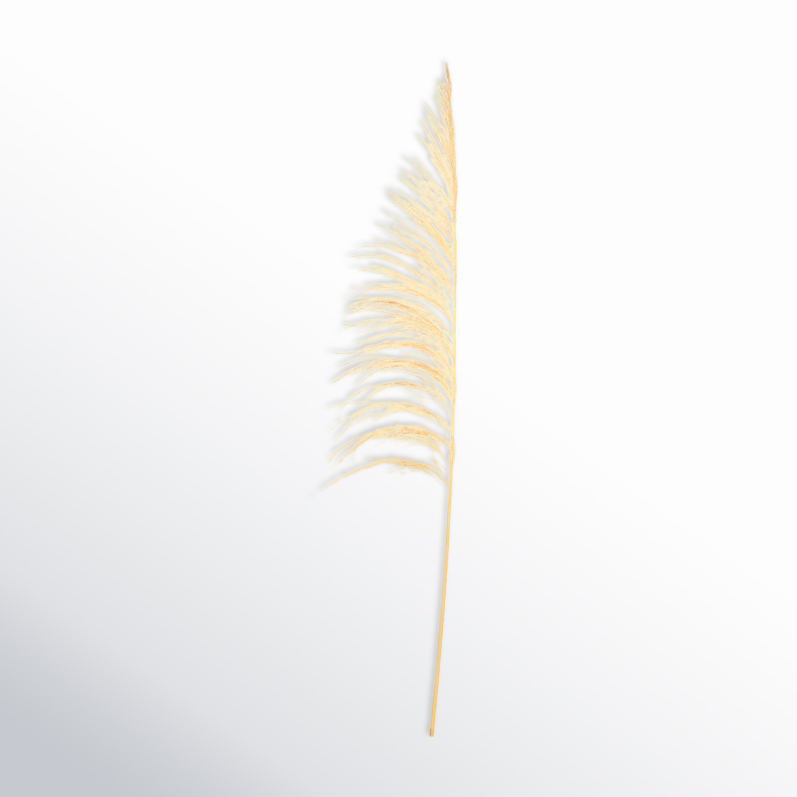 Vickerman Uva Palm Spray 71'' Palm Plant, Bleached