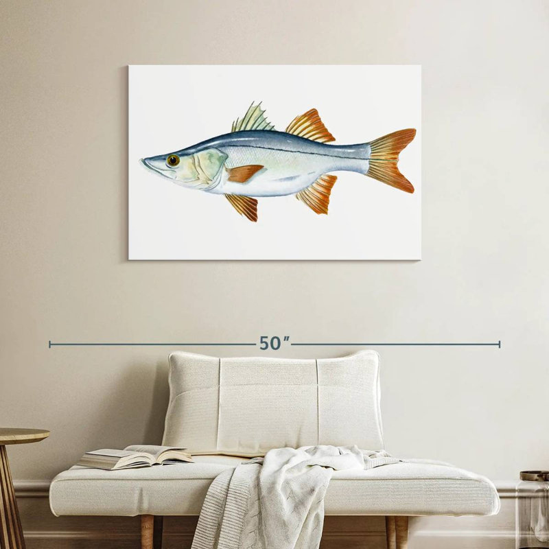 Brampt Snook, 26" H x 39" W