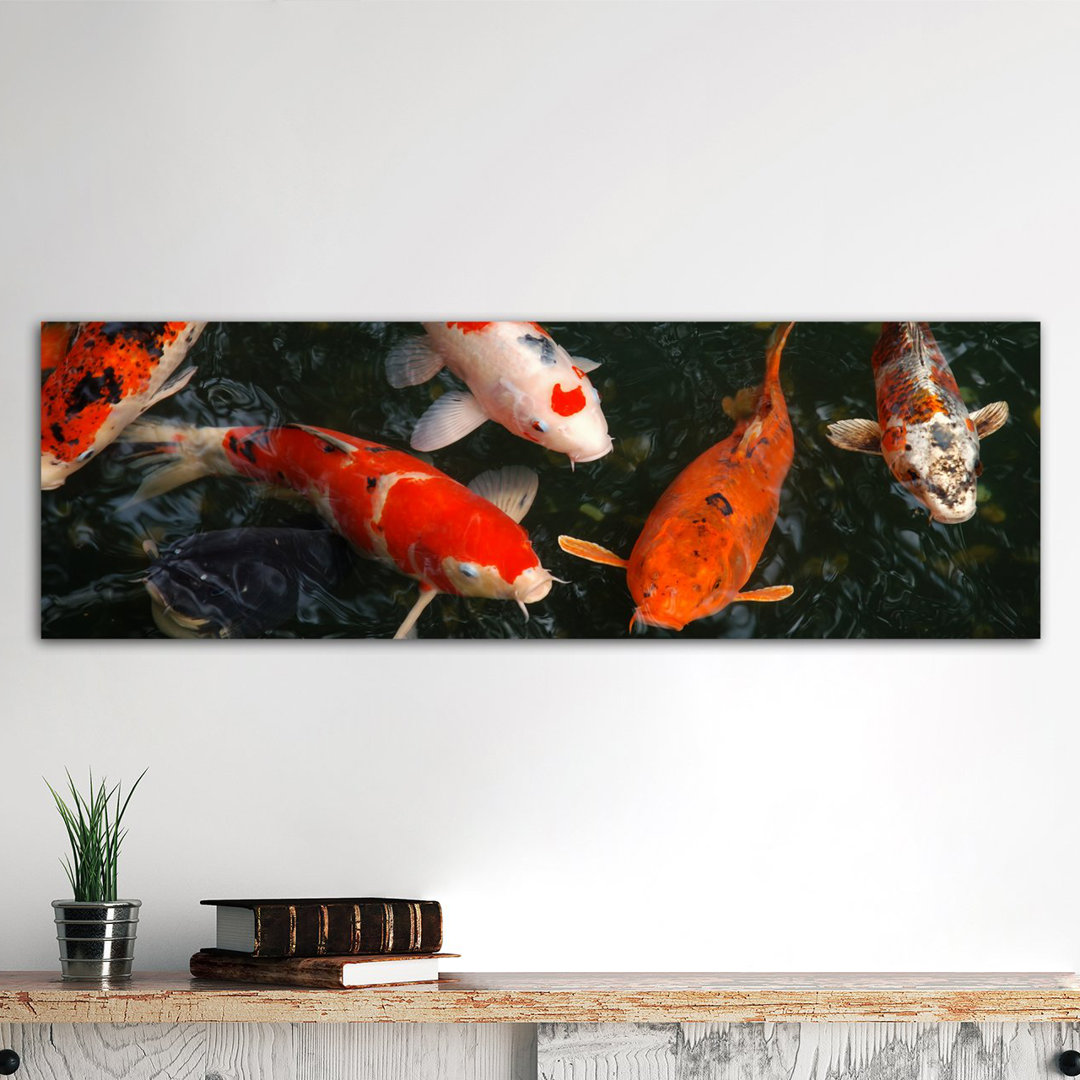 " Koi Carp In Japan " East Urban Home 