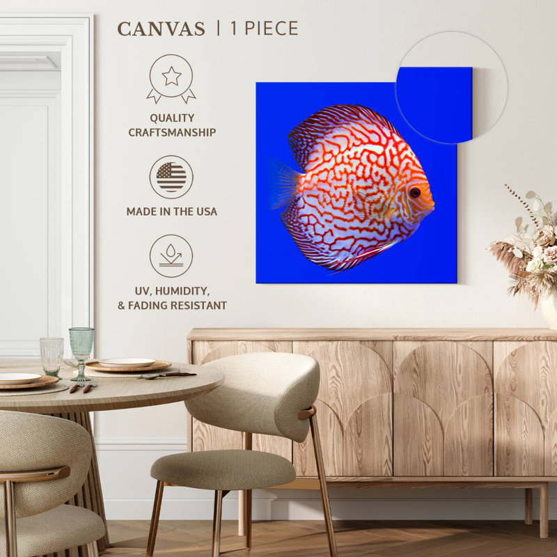 Brampt Exotic Discus Fish, 20'' H x 20'' W