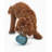 Hybrid Feeder/Toy-87061917