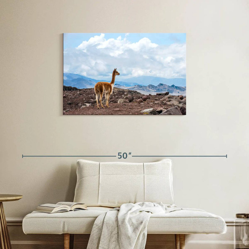 Vicuna Brampt, H 24 po x l 36 po