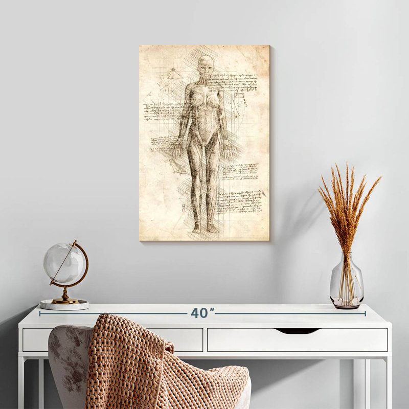 Anatomie féminine Keiri, H 24 po x l 16 po