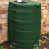 Green is out of stock