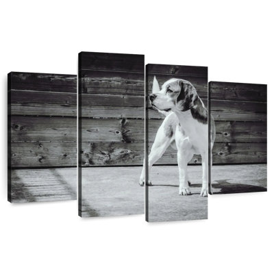 Beagle Brampt monochrome