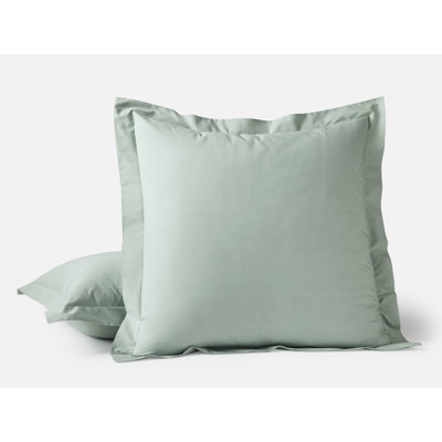 Refined Organic Shams