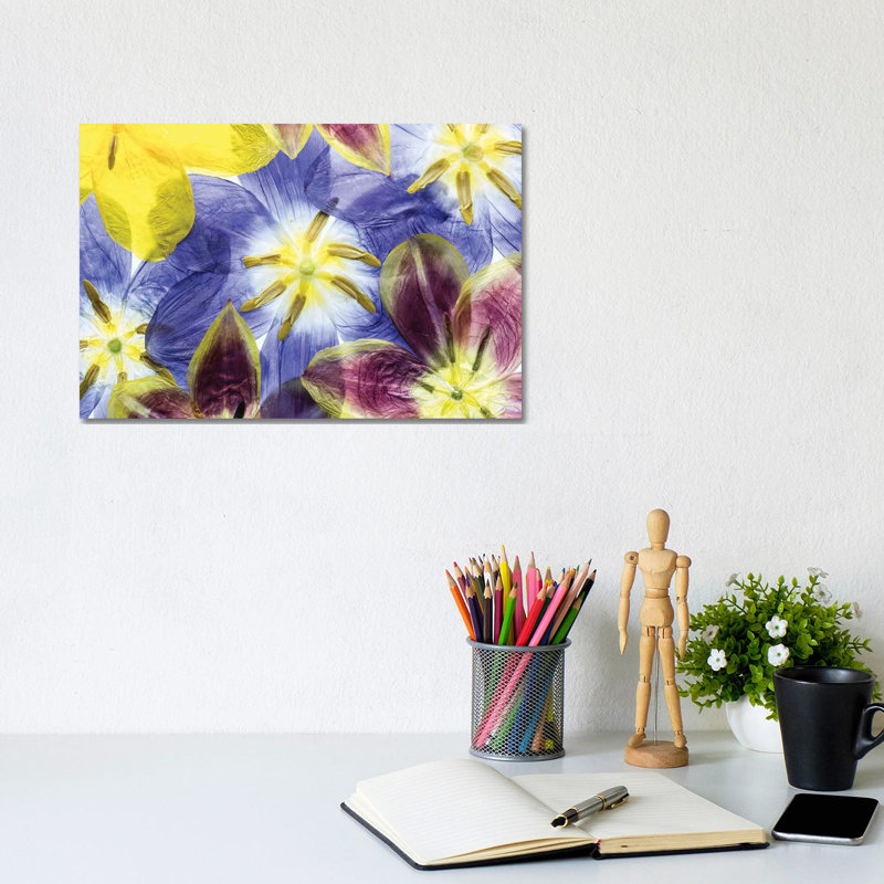 Tulips by Mandy Disher - Wrapped Canvas Painting, 20.32 cm H x 30.48 cm W