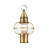 Aster Transparent Lantern Head-945988347