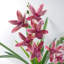 Plastic, Polyethylene (PE) Artificial Arrangement in Pot