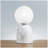 Frosted Glass Globe Table Lamp