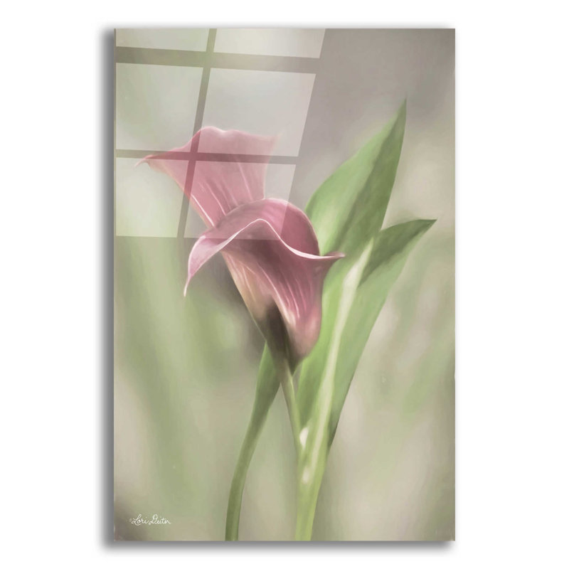 Lis rose Calla - imprimé sans cadre, H 16 po x l 12 po x P 0,13 po