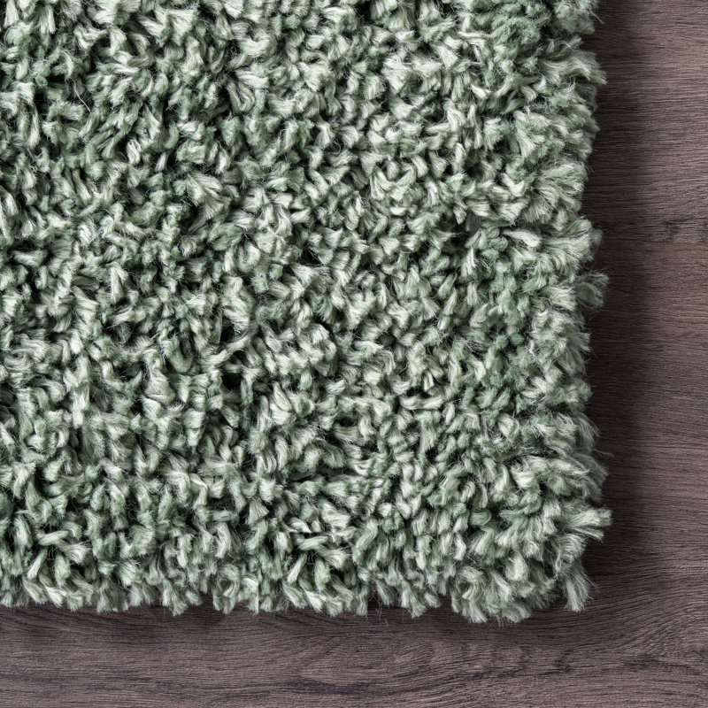 Abbiney Performance Shag Green Rug, Rectangle 4' x 6'