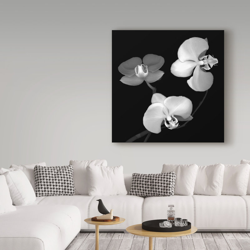 «Three Orchids Black and White» par Dosta, impression sur toile tendue, H 14 po x l 14 po x P 2 po