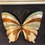 Décoration murale papillon avec perle