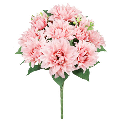 Buissons de dahlia