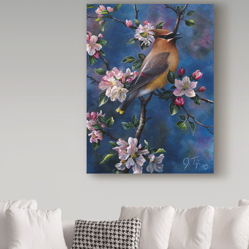 «Cedar Waxwing» par Fazulla, impression sur toile tendue, H 19 po x l 14 po x P 2 po