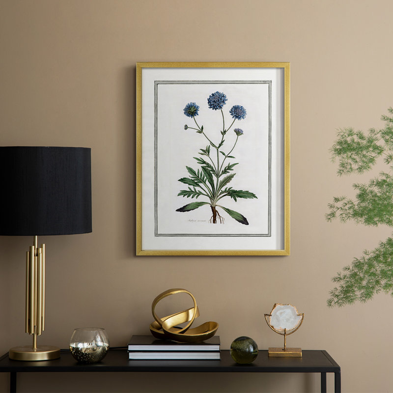 «Soft Botanical II», reproduction encadrée - bois massif, H 15 po x l 12 po, Doré