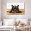 Bouledogue français en attente-107703363