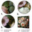 Blooming, rose, blanc, chrysanthèmes-945902626-945902628