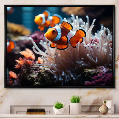 Orange Pink Clownfish Silent Underwater - Marine Animals Wall Art
