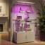 Display Cabinet-1963036955