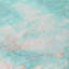 Tapis bleu sarcelle lavable à la machine intérieur / extérieur Xhevrie-1144409359
