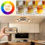 Plastic Semi Flush Mount