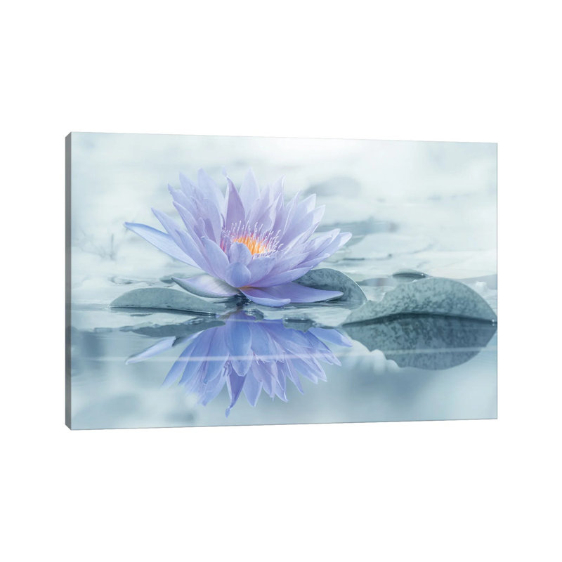 Reflection by Takashi Suzuki - Wrapped Canvas Print, 66.04 cm H x 45.72 cm W x 1.91 cm D