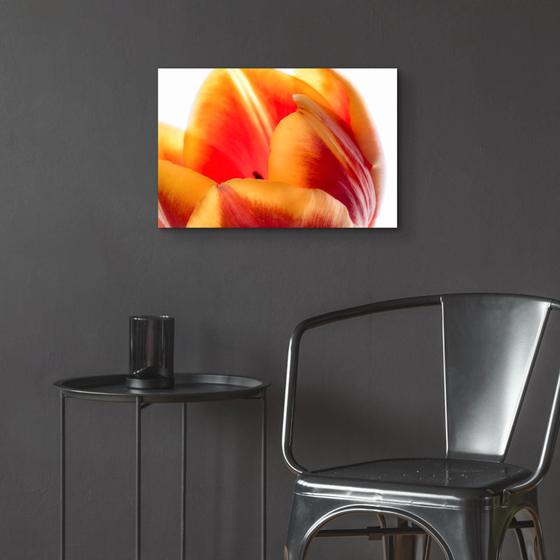 «Just A Peek» par Pamela Plummer, H 16 po x l 24 po x P 0,2 po