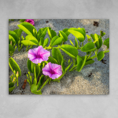 "Sunrise Petals" by Lawrence Leyderman – 30" x 40" Acrylic Wall Art