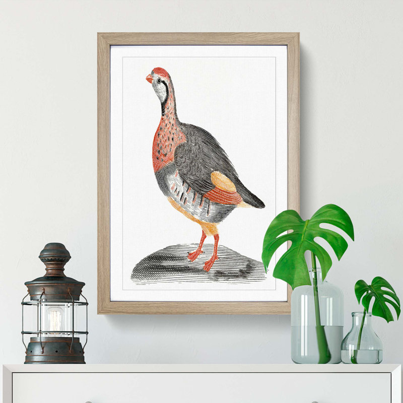 A Partridge by Johan Teyler - Single Picture Frame Painting, Oak Framed, 33cm H x 24cm W x 2cm D