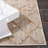 Paradigm Performance Southwestern Indoor/Outdoor Area Rug-1056497847