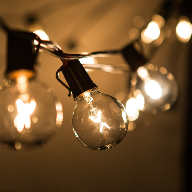 Renfro Outdoor 25 - Bulb 25'' Plug-in Globe String Light, Black