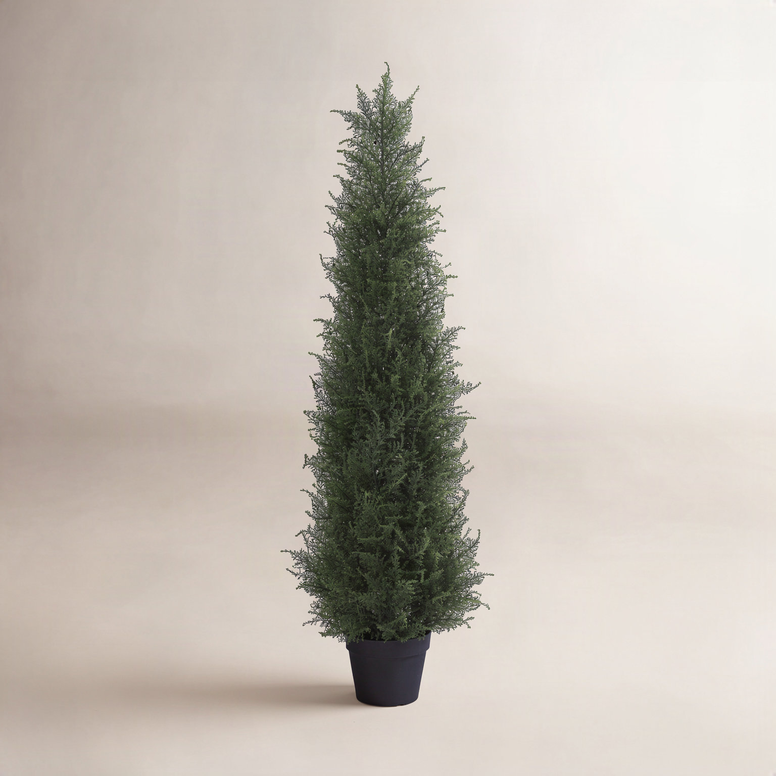 Adcock Cypress Topiary in Pot, 48" H x 46" W x 46" D