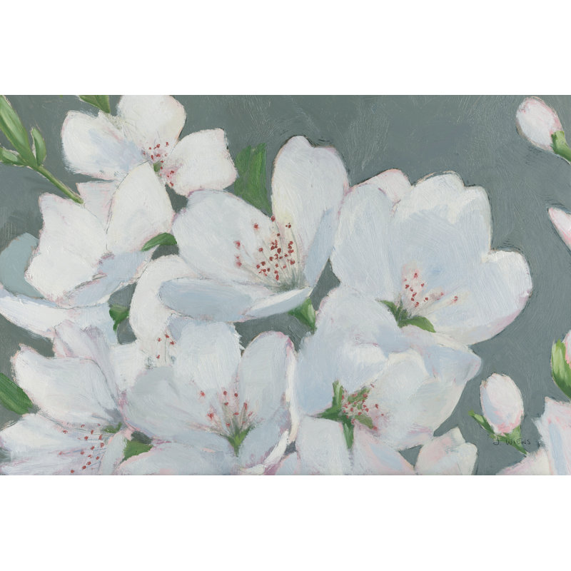 Spring Apple Blossoms by James Wiens - Wrapped Canvas Painting, 51cm H x 51cm W