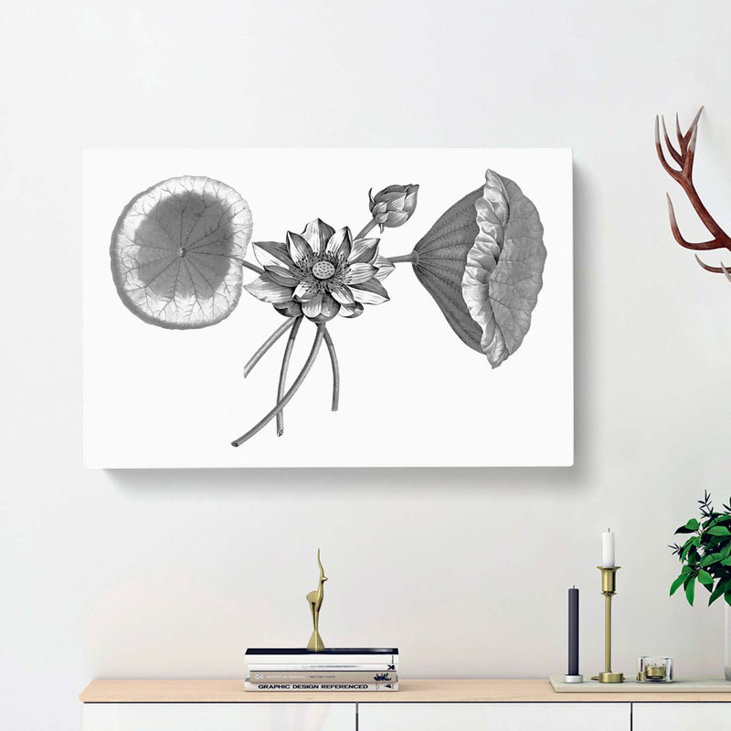 Sacred Lotus Flowers - Wrapped Canvas Drawing - Wrapped Canvas, 35cm H x 50cm W x 3cm D