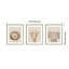 «Baby Animal Portrait», ensemble de 3 reproductions d'art encadrées par The Creative Bunch Studio-1491850442